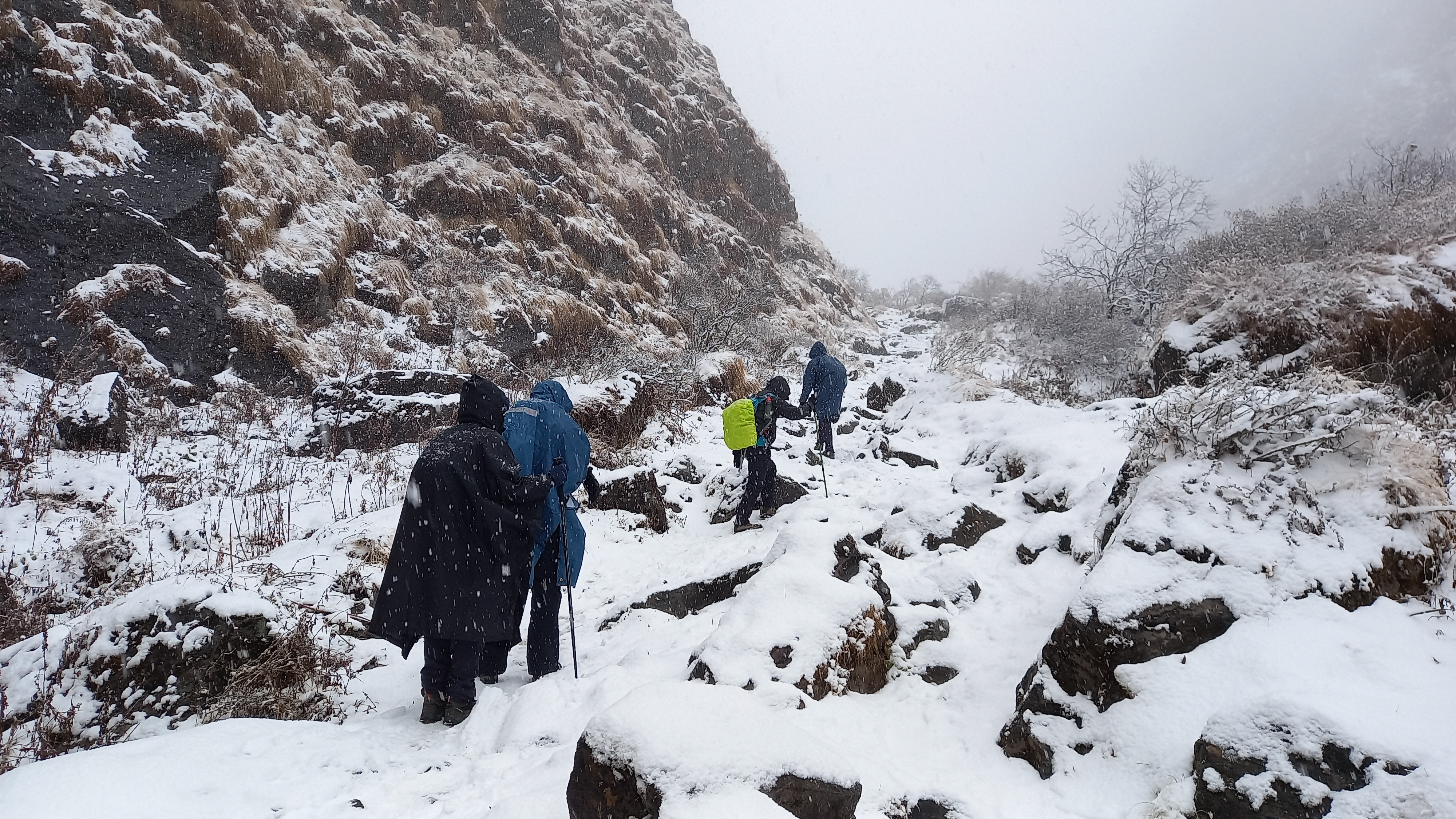 Himalayan trek